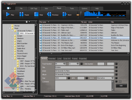 Built-in media player